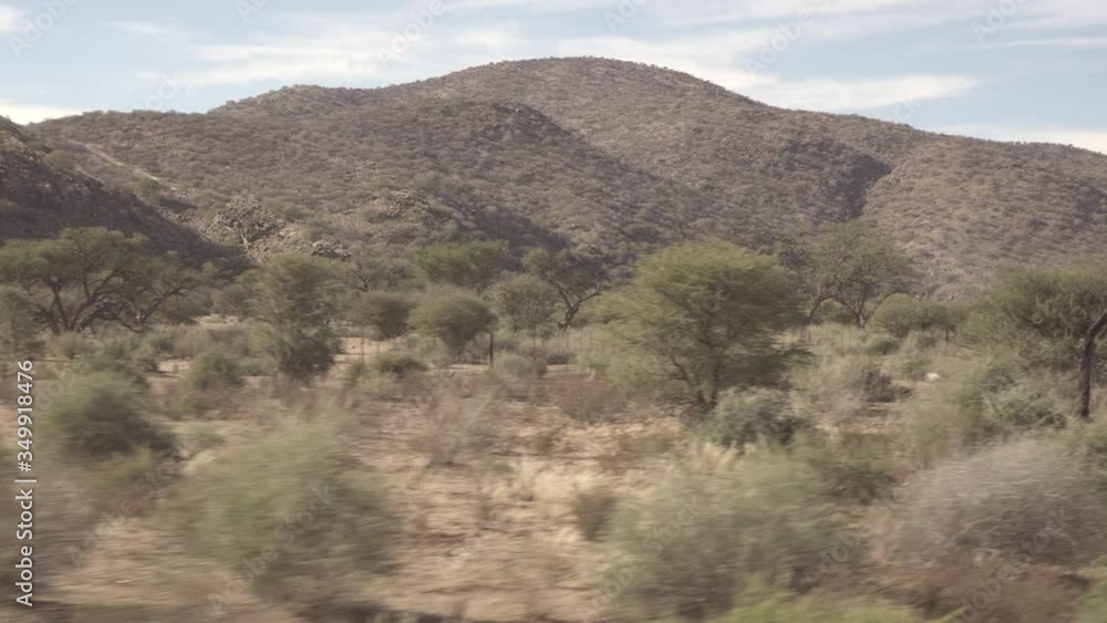 Panning shot of plants and trees on landscape by rocky mountains against sky during sunny day - Swakopmund, Namibia Panning shot of plants and trees on landscape by rocky mountains against sky during sunny day - Swakopmund, Namibia