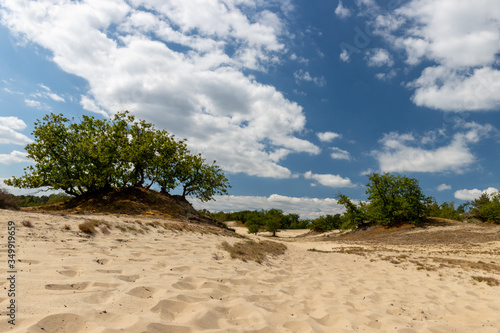 Wide angle shot of inland sand dune landscape with cloudy blue sky photo