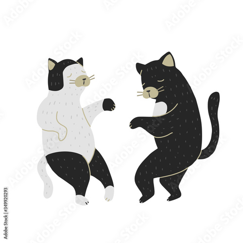 Dancing Cats isolated on white background. Couple at the party.