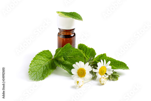 Chamomile with mint leaves and oil on isolated white background