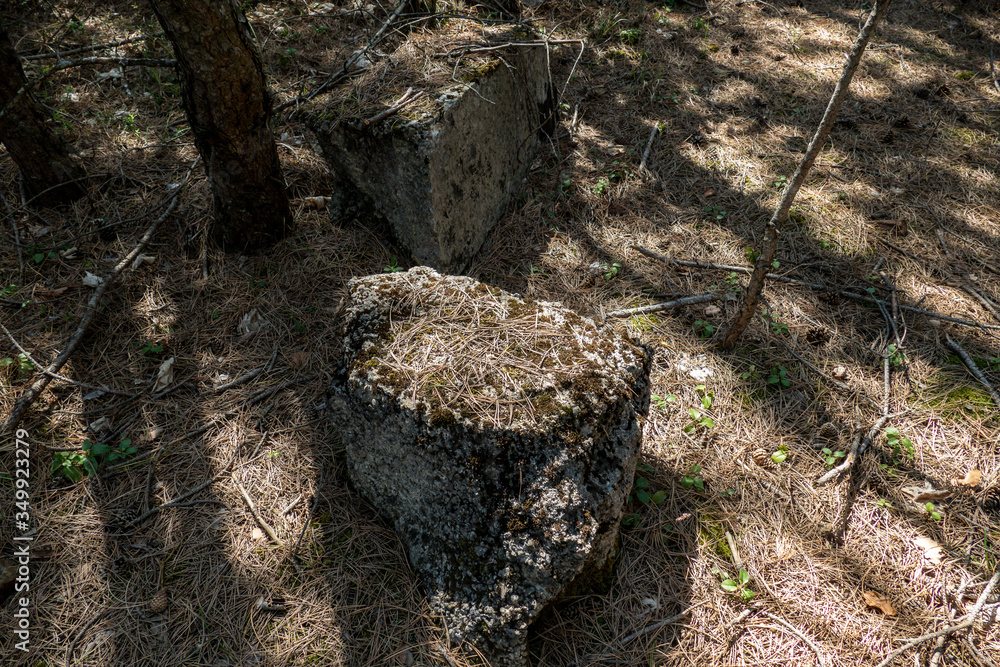 old bunker pieces in the forest old bunker pieces in the forest