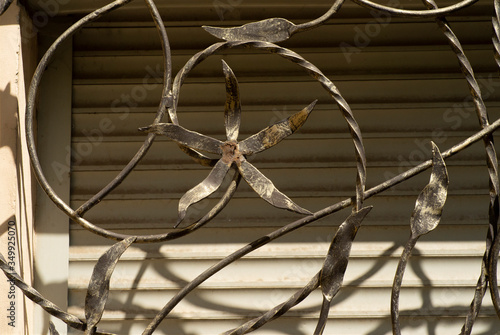 decorative elements of wrought iron grilles in the door