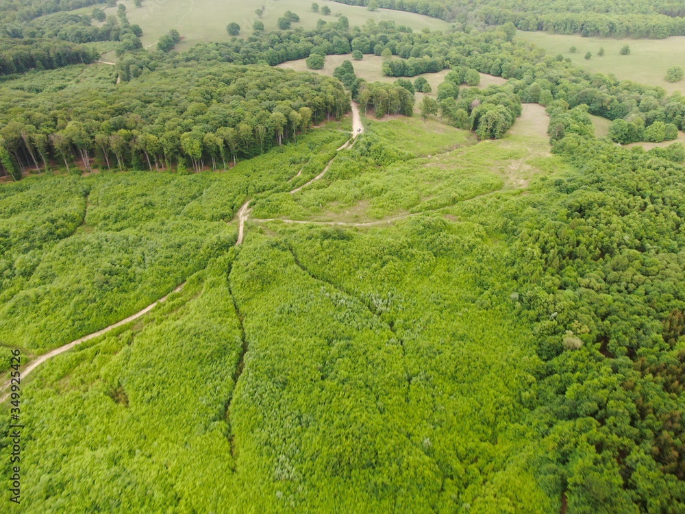 Aerial view of a beautiful forest . Aerial view of a beautiful forest .