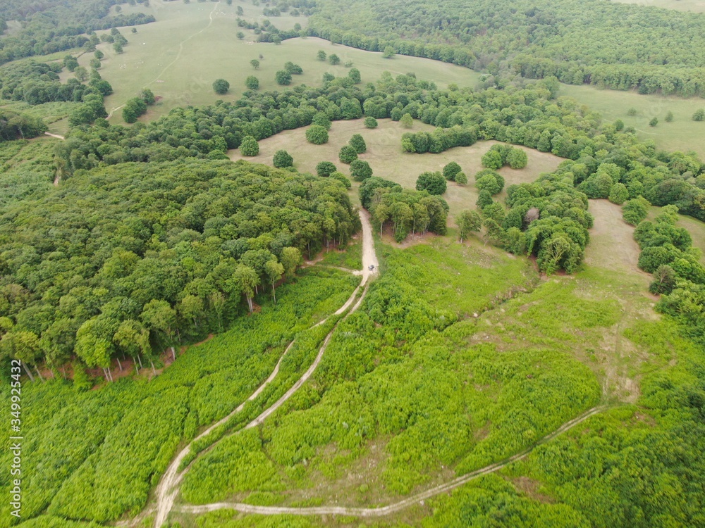 Aerial view of a beautiful forest . 