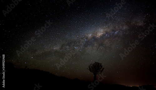 Photography quiver tree under mikyway, nightscape , in the Karoo, south africa