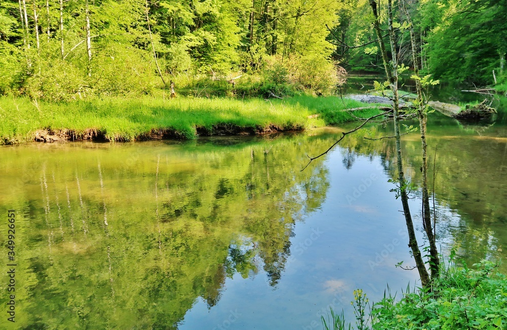 Wissbachschlucht, Naturparadies, Ostschweiz Wissbachschlucht, Naturparadies, Ostschweiz