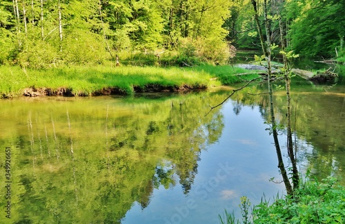 Wissbachschlucht  Naturparadies  Ostschweiz