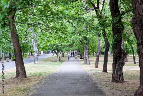 Some people are  walking in the park in a sunny day. Many green trees are around  © Евгения Жигалкина
