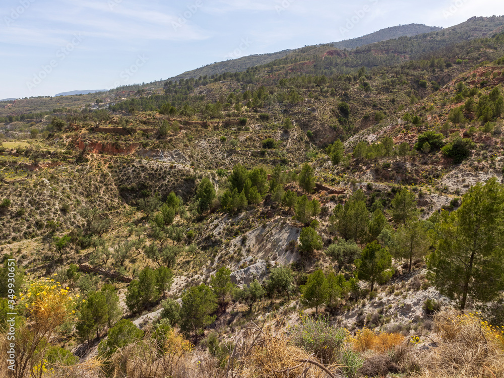 mountainous landscape with pine trees near Darrical (Spain)
mountainous landscape with pine trees near Darrical (Spain)