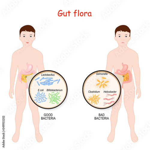 Good and Bad Bacteria. Gut flora of children. Kids with intestines and different forms of bacteria.