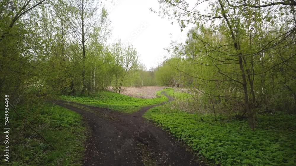Walk along a dirt country road along the edge of the forest Walk along a dirt country road along the edge of the forest