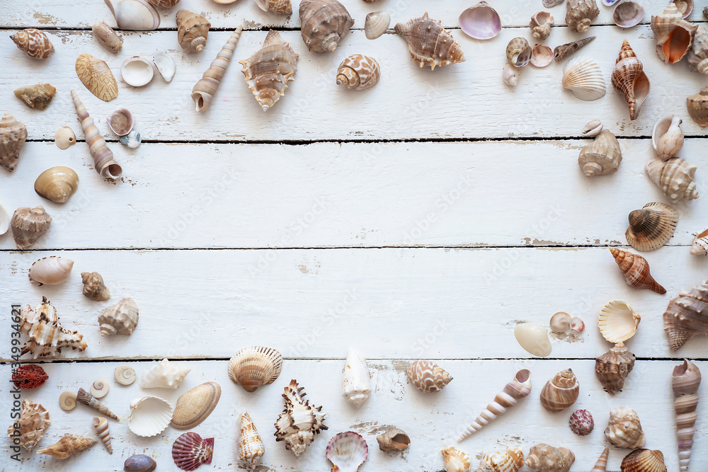 Flat lay various seashell on white wooden table, top view. Copy space background, summer concept. Flat lay various seashell on white wooden table, top view. Copy space background, summer concept.