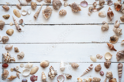 Flat lay various seashell on white wooden table, top view. Copy space background, summer concept.