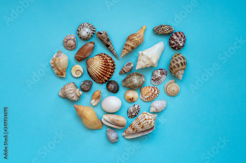Different seashells In the shape of a heart on a blue background, summer concept