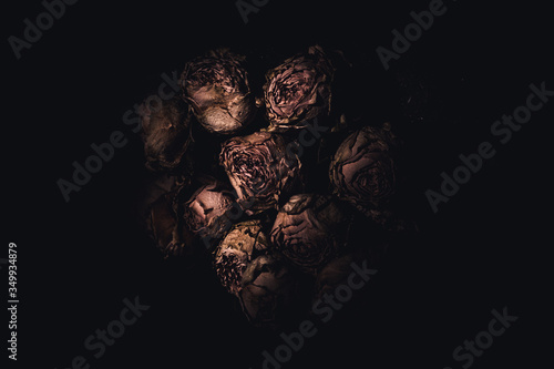 Dry roses in the darkness