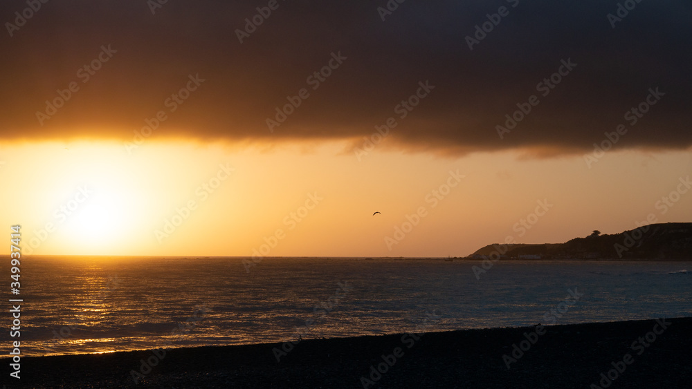 Warm sunrise shot with calm ocean and three seagulls, shot in Kaikoura, New Zealand