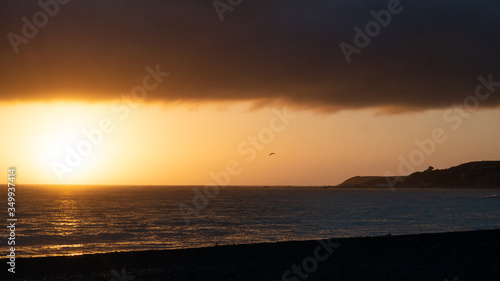 Warm sunrise shot with calm ocean and three seagulls, shot in Kaikoura, New Zealand