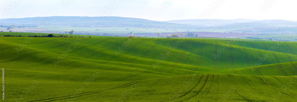 A landscape of waves called Moravian Tuscany in the Czech Republic. A landscape of waves called Moravian Tuscany in the Czech Republic.