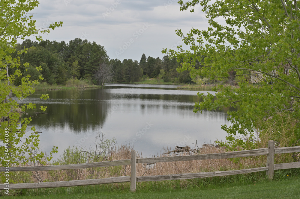 Obraz premium Spring, nature, pond