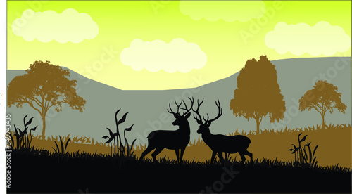 deer in the forest