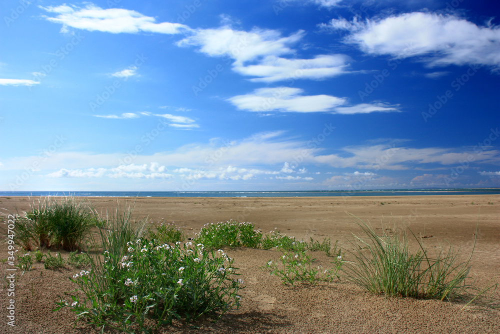 Fototapeta premium Summer landscape with green grass, road and clouds