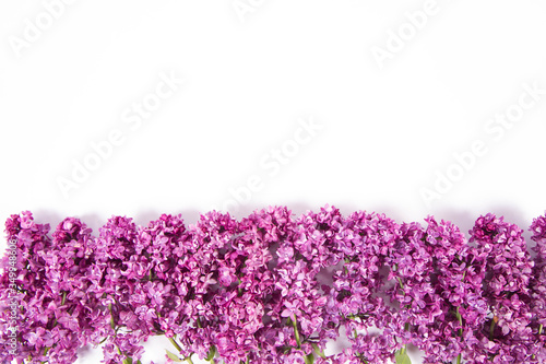 Lilac flowers on a white background with text space above