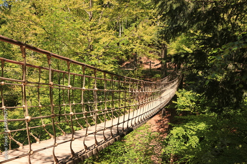 Hängebrücke über einem kleinen Tal am Rothaarsteig im Hochsauerland photo