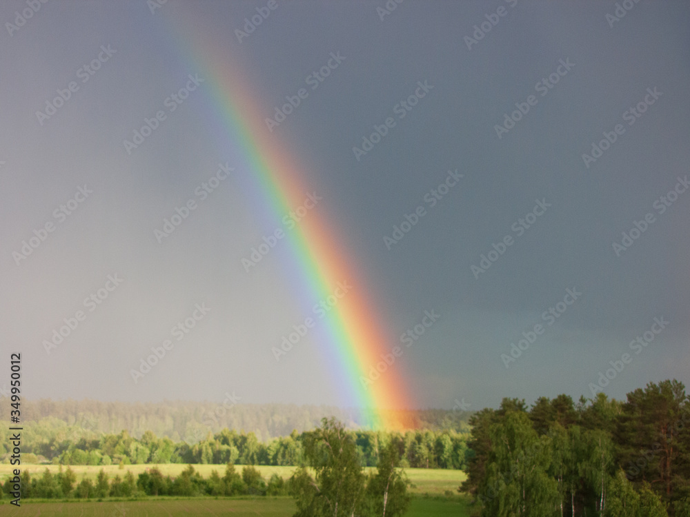 Rainbow over forest Panoramic view Cloudy landscape
Rainbow over forest Panoramic view Cloudy landscape