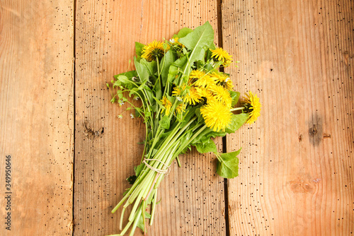 Löwenzahn Butterblume essbare Blüten Blätter