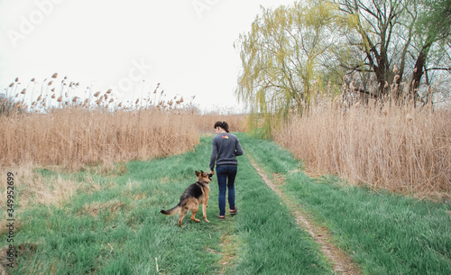 A girl and a German shepherd walking in a field. A woman and a dog walk along a road in the Park. © Ekaterina
