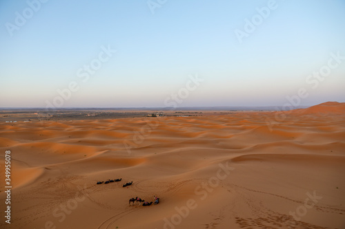 A caravan of camels resting. Desert in Morocco.