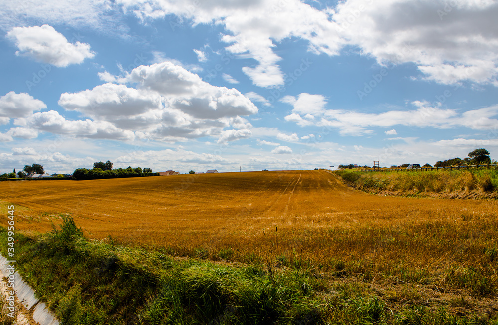 Fototapeta premium Farm land