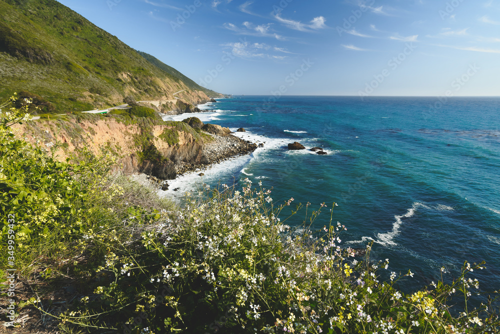 Big Sur, California. Popular touristic destination famous for its dramatic scenery. Stunning view of Pacific ocean, cliffs, and beautiful native plants on the beach
