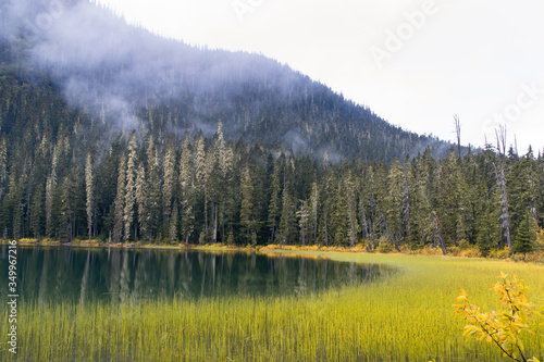 Joffre Lakes Provincial Park Canada - unfassbare Farben Wanderung im Wald