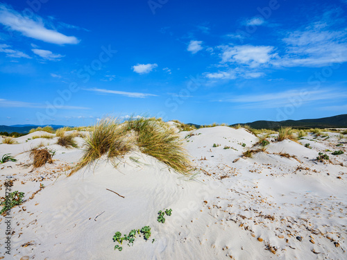 Fototapeta Naklejka Na Ścianę i Meble -  The white sand of Is Arenas Biancas beach, with tall, white dunes called Le Dune, Sant'Anna Arresi, Sardinia, Italy