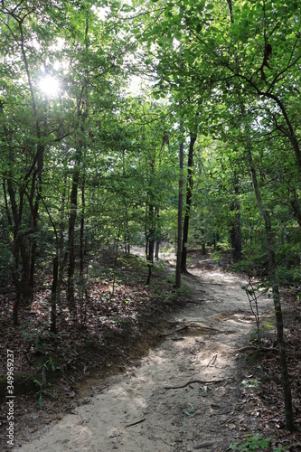 Providence Canyon State Park, Georgia (USA) photo