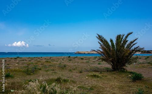 Rocky beach on the Mediterranean coast on the Akamas Peninsula on the island of Cyprus.