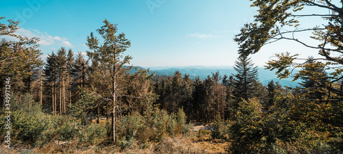 Schwarzwald / Schwarzwaldhochstraße - Wunderschöne Landschaft Panorama vom Wald am Tag, mit blauem Himmel