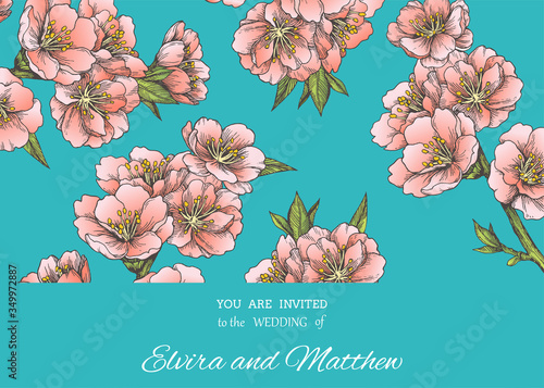 Vector vintage spring background with pink almond blossom in blue background. Hand drawn color botanical texture with apple tree flowers. Floral illustration