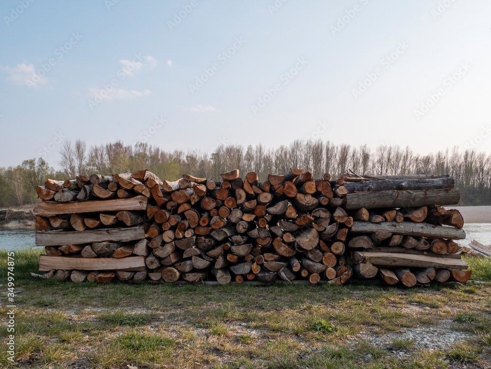 pilled timber logs. Firewood.