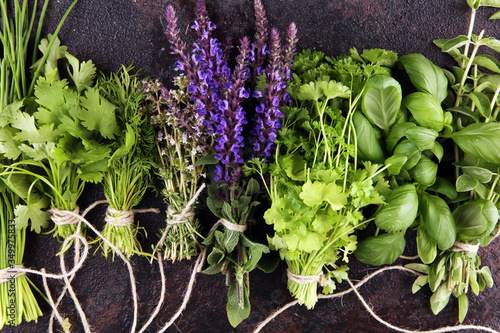 Fresh herbs lay on a rustic background. Basil, flower sage, thyme, oregano, dill, chives, parsley and coriander.