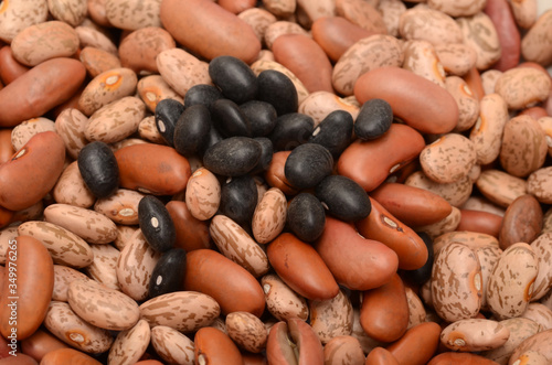 PINTO BEANS/LIGHT RED BEANS/BLACK BEANS