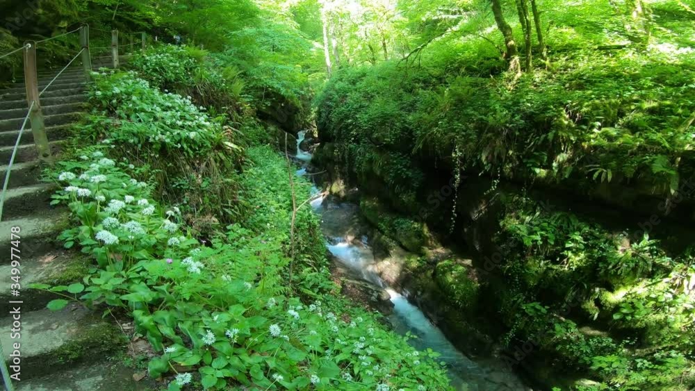 Nice walk in the canyon of the Chauderon, 17 May 2020, Switzerland. Discovering some new streams and waterfalls in nature. Nice walk in the canyon of the Chauderon, 17 May 2020, Switzerland. Discovering some new streams and waterfalls in nature.