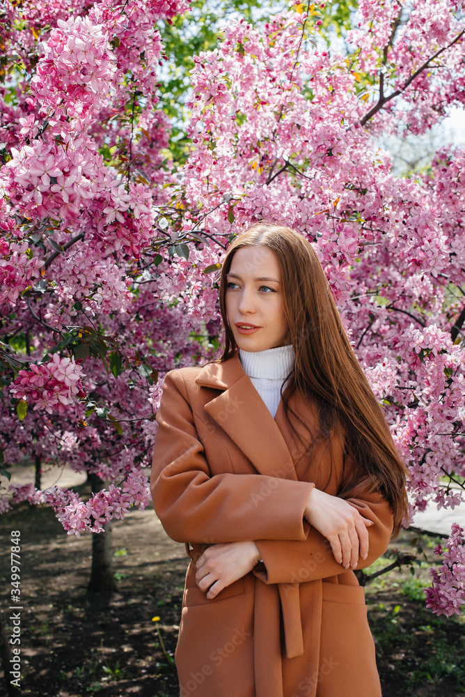 A beautiful young girl walks on a spring day in a blooming Apple orchard. Lifestyle, recreation A beautiful young girl walks on a spring day in a blooming Apple orchard. Lifestyle, recreation
