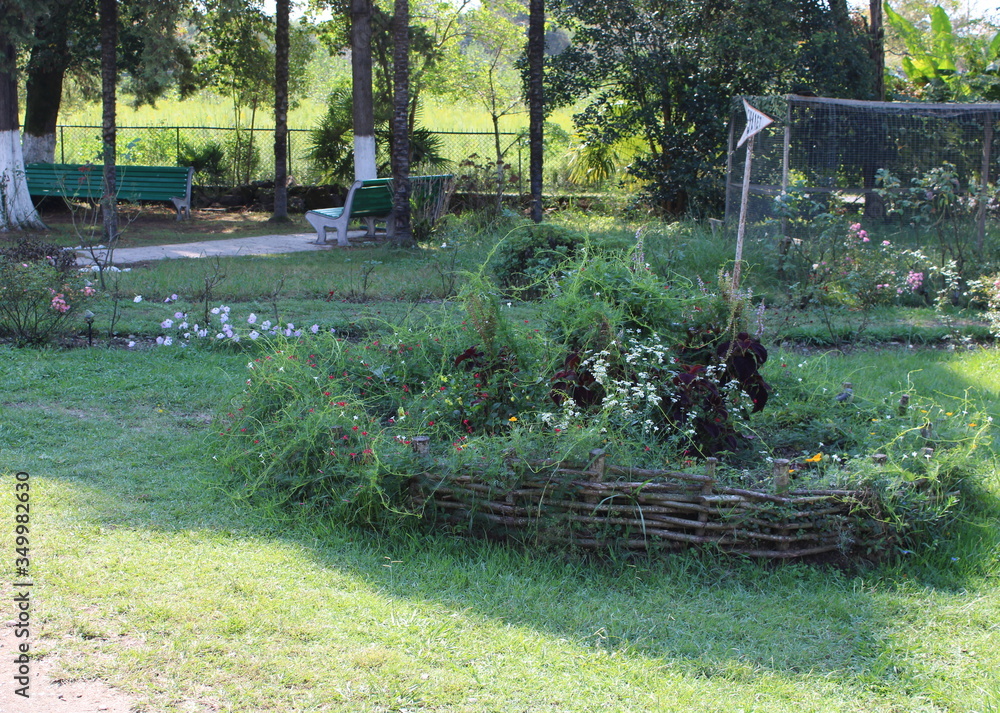 Obraz premium Flower beds, paths.