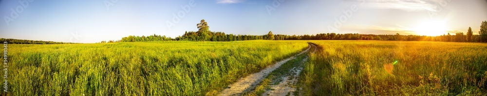 Obraz premium Summer Field And Dirt Road At Sunset Time