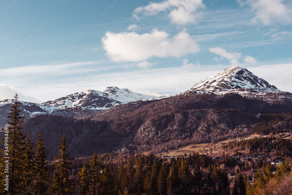 Obraz premium Mountain landscape with snow and trees, Norway.