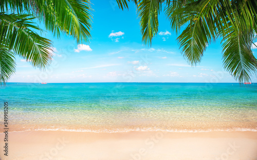 tropikalna plaża z palmą kokosową