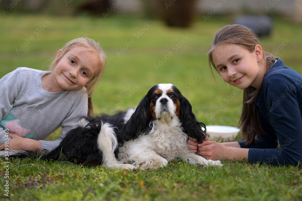two little girls with Cavalier King Charles Spaniel dog outdoors in the nature on a sunny day. two little girls with Cavalier King Charles Spaniel dog outdoors in the nature on a sunny day.