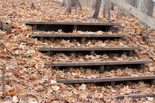 Fall Leaf Covered Wooden Steps